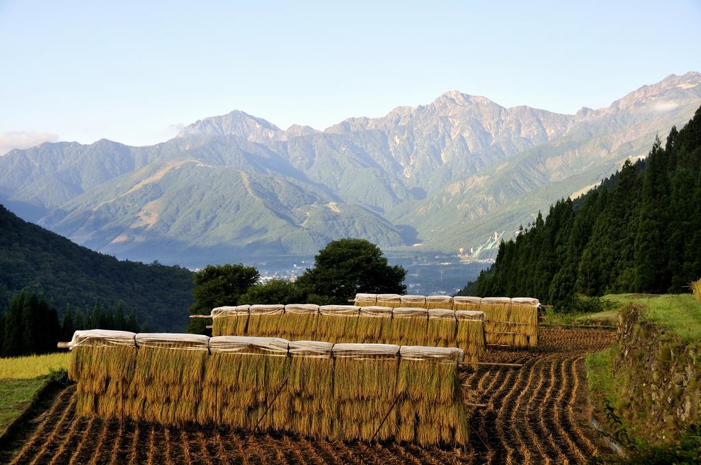 Lodge Nostalgia Hakuba Exterior foto