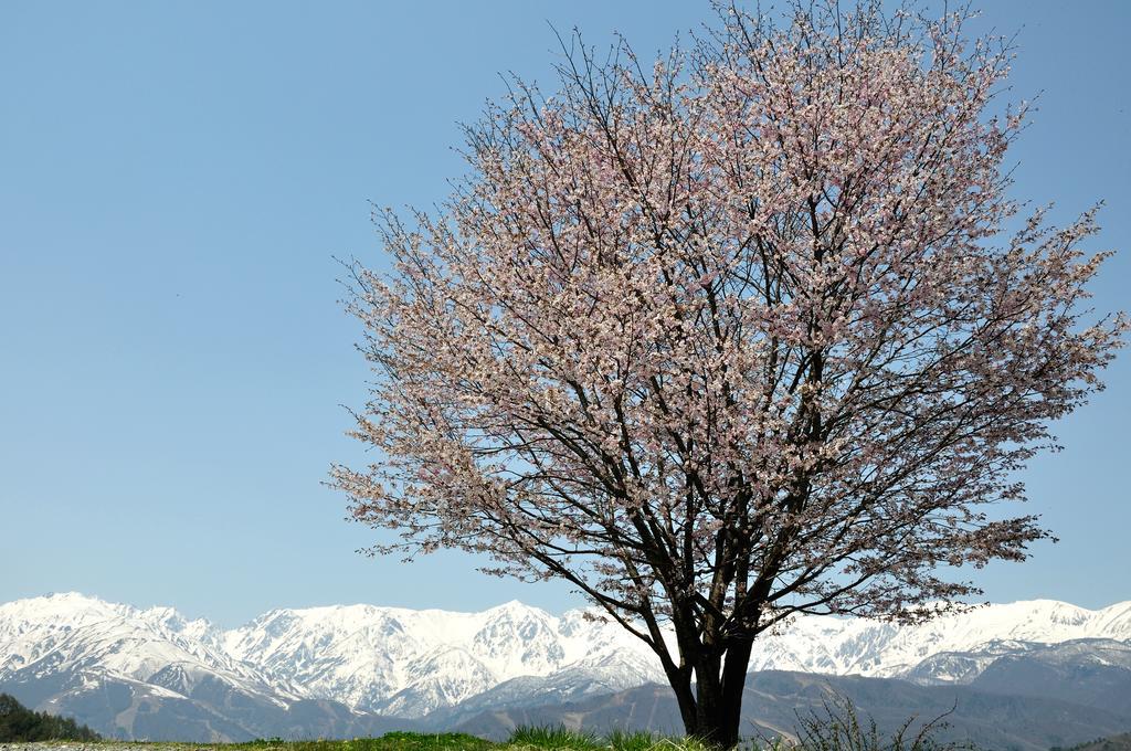 Lodge Nostalgia Hakuba Exterior foto
